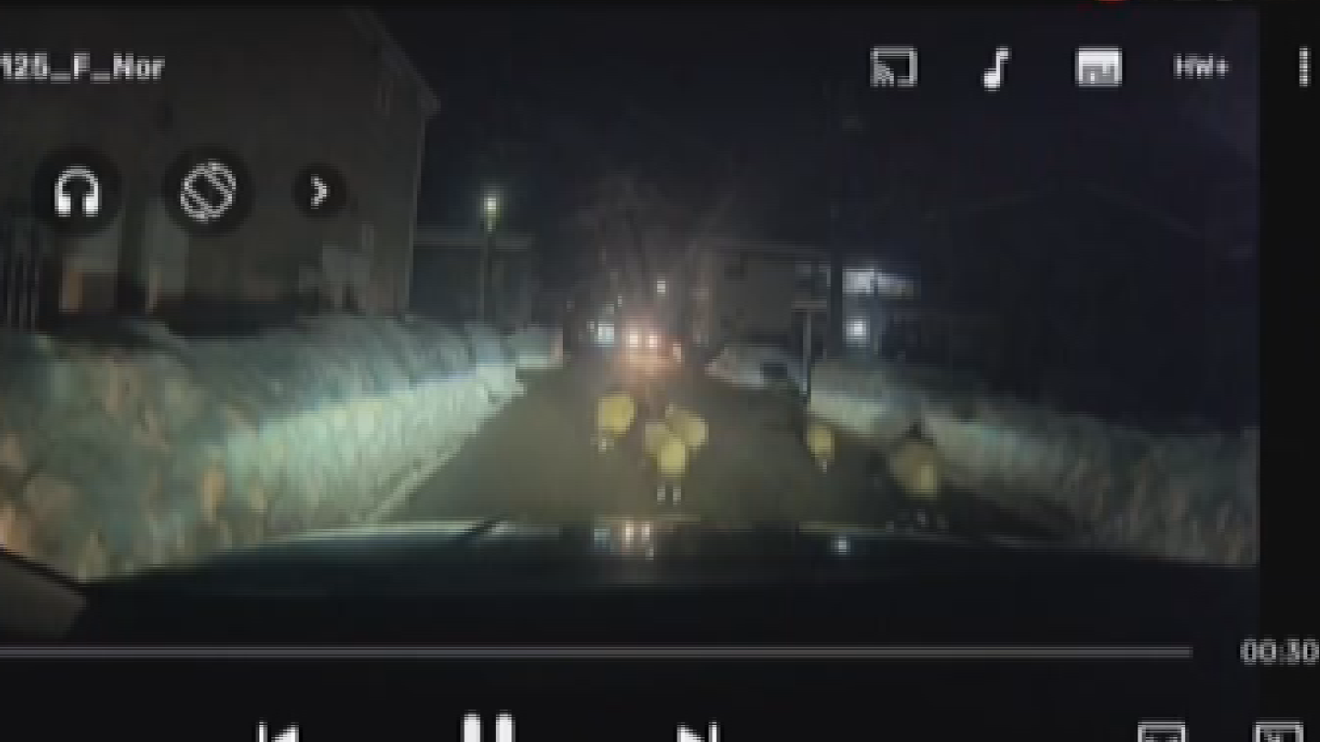 【映像 イノシシが車に衝突】目撃相次ぐ 大潟区で男性2人が足かまれ軽傷