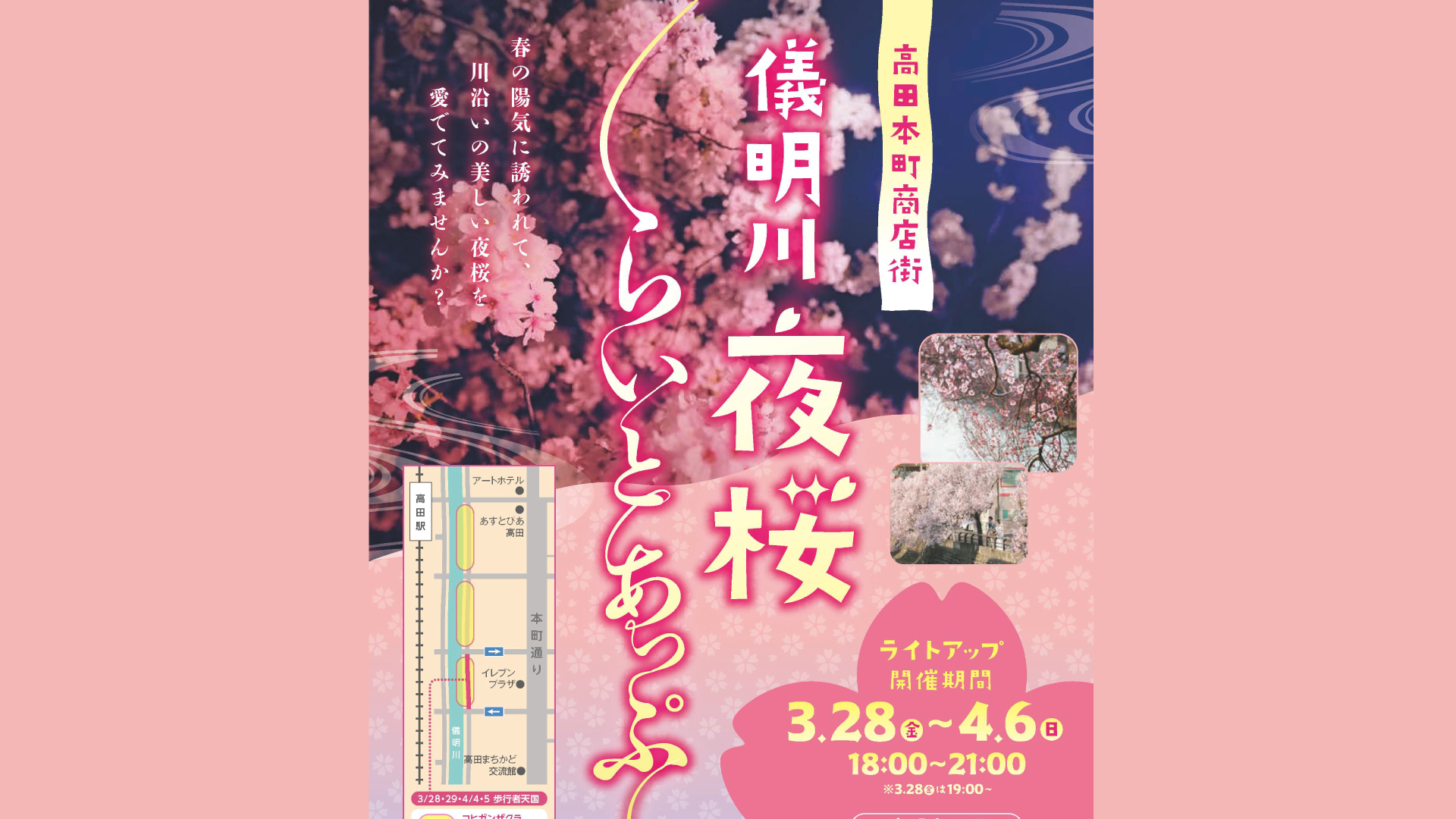 儀明川でも夜桜が楽しめる！初のライトアップ 4月6日(日)まで  歩行者天国イベントも