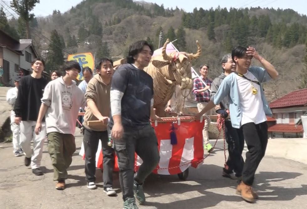 「ジャンボスゲ牛」7年ぶりに集落練り歩く！妙高市下平丸