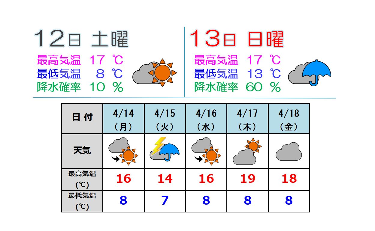 あす12日(土)はお花見日和  13日(日)以降は不安定な空模様続く　