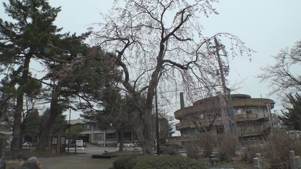 Still0401_00004