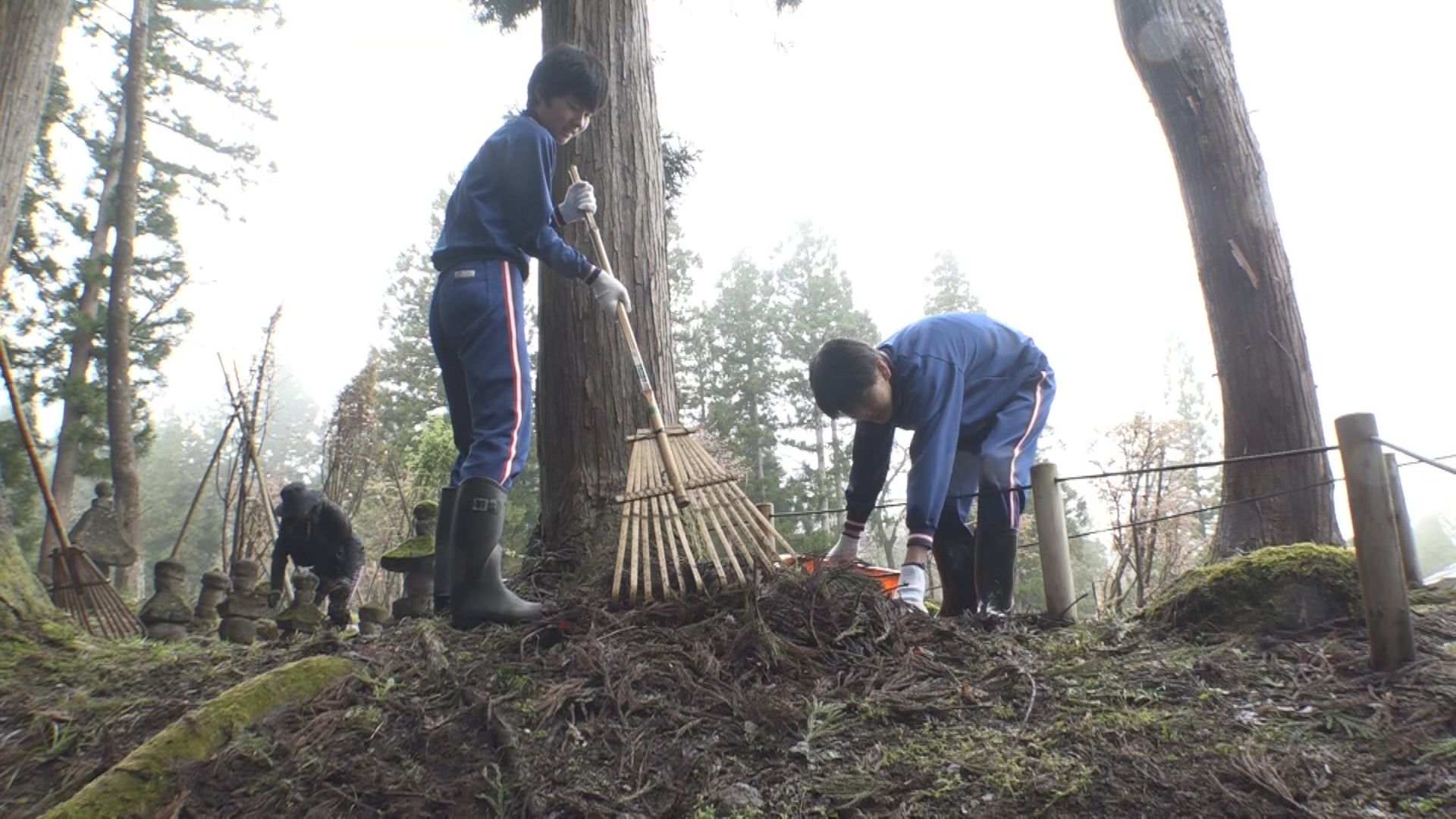 旧関山宝蔵院庭園 妙高中生徒が清掃活動 一般公開始まる