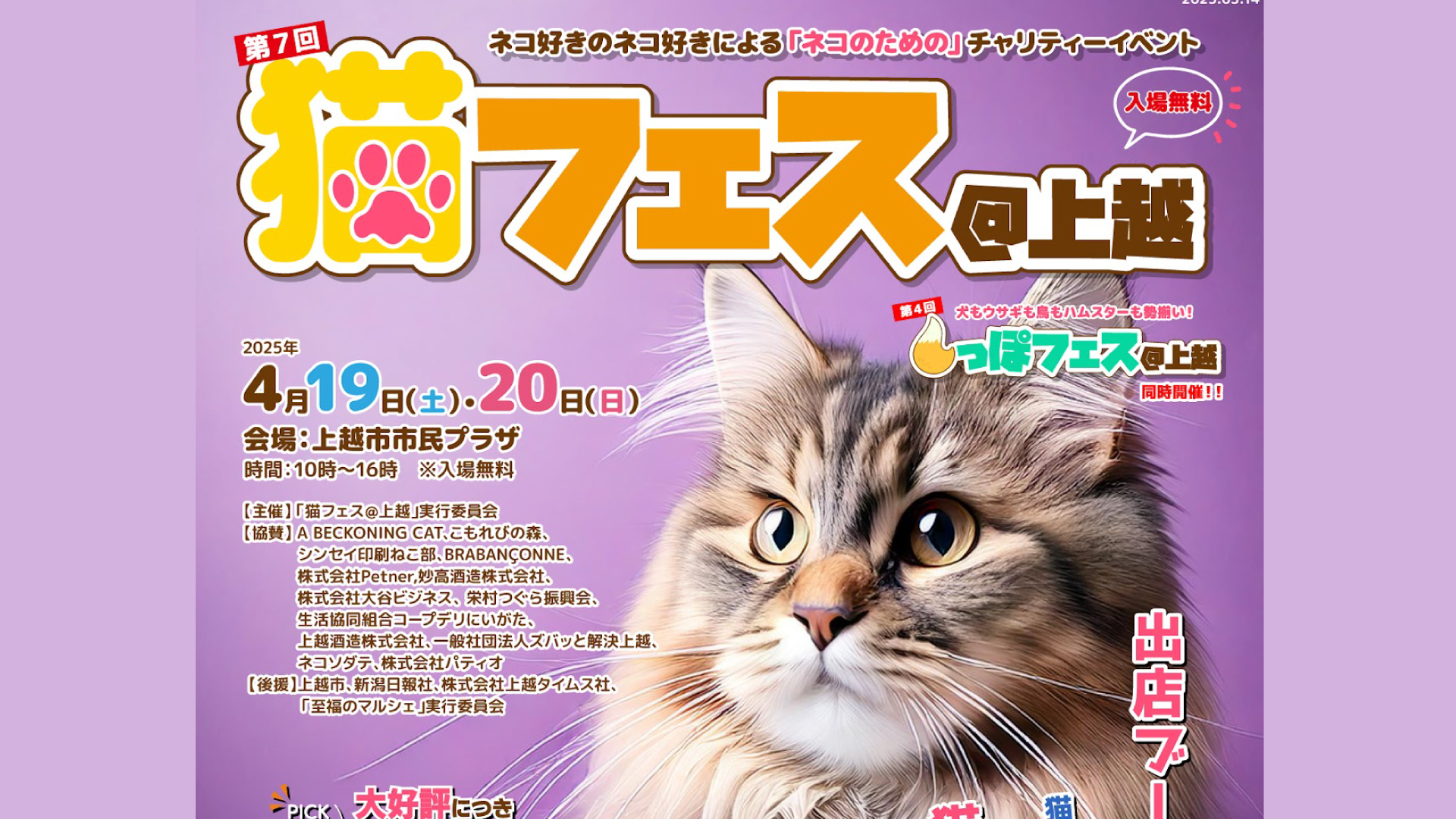かわいい猫グッズが大集合！「猫フェス@上越」4月19日(土)、20(日)開催
