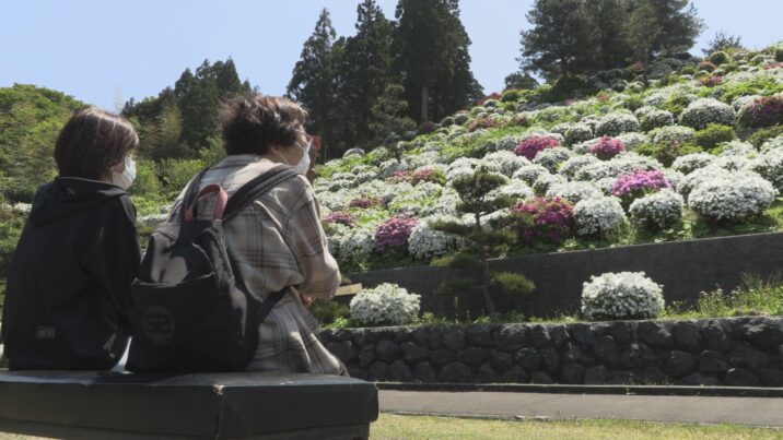 京都産 桂川石 ジャグレ石 丹波 保津峡 庭石 リスキー 花壇 観賞
