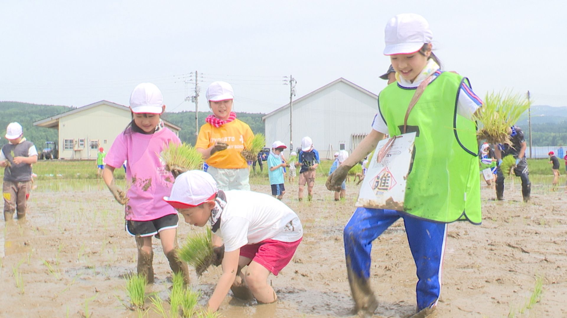 未来に「進む」思いを込めて！ 清里小 稲文字の田植え