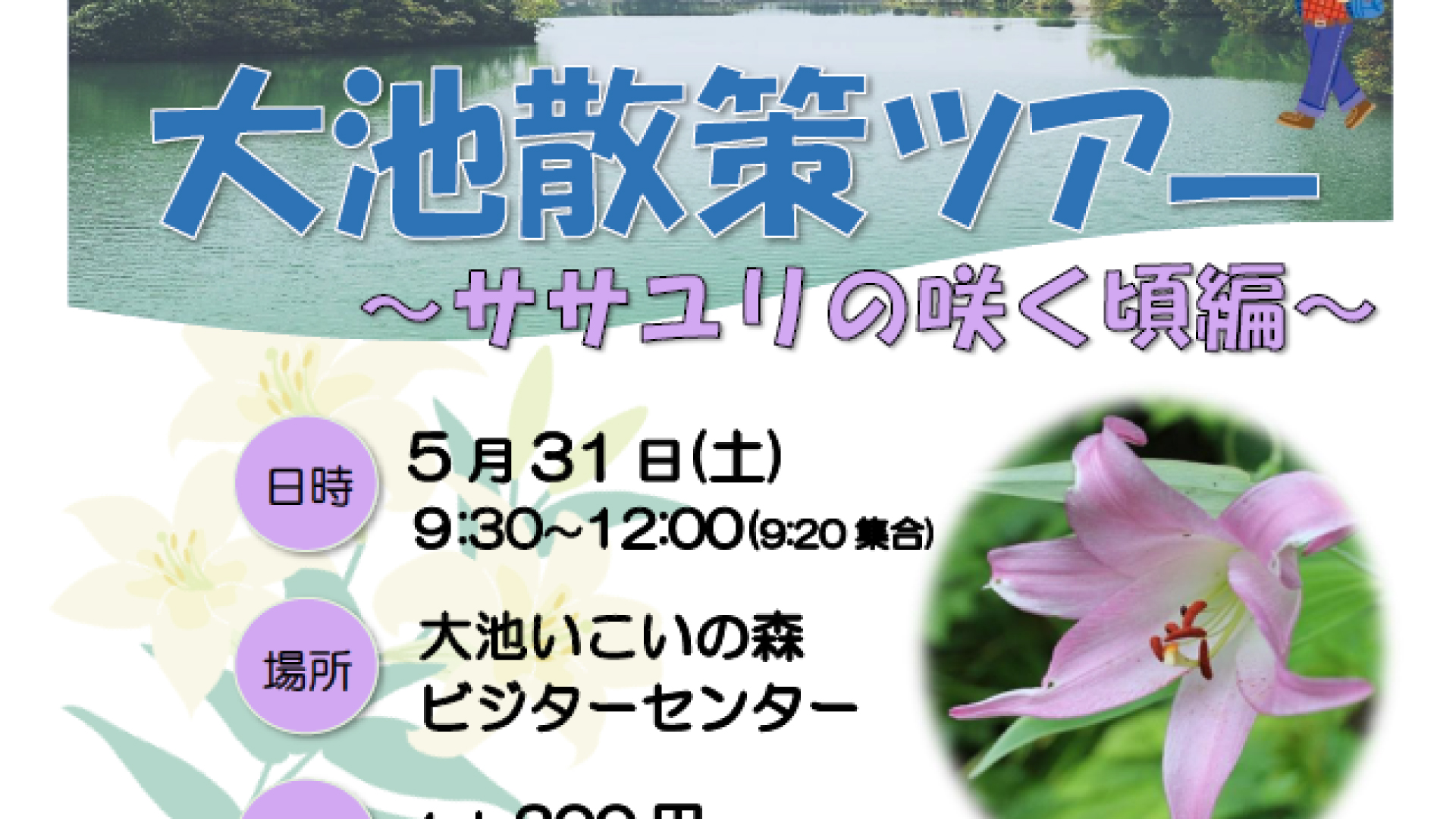 参加者募集！可憐なササユリをみんなで観察「大池散策ツアー」31日(土)開催