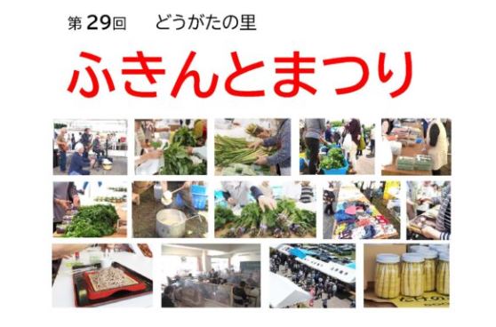 板倉の新鮮な山菜を販売「ふきんとまつり」6月1日（日）開催
