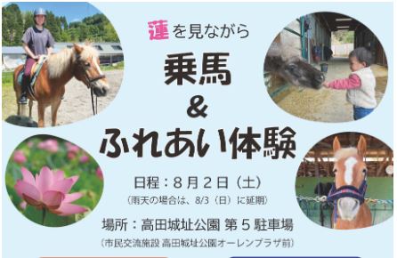 乗馬しながらハス鑑賞！高田城址公園観蓮会で「乗馬体験」8月2日(土)