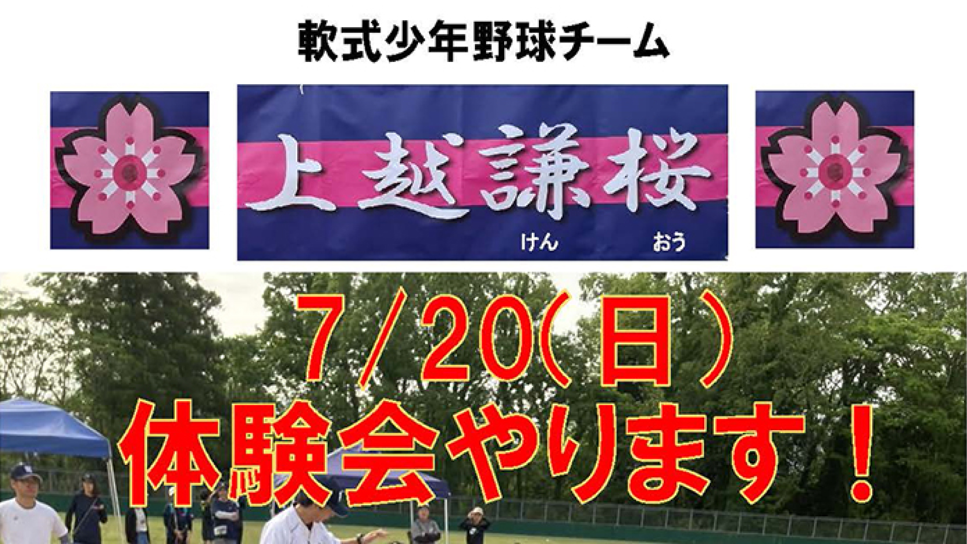 参加者大募集！軟式少年野球チーム「上越謙桜」体験会 20日(日)開催