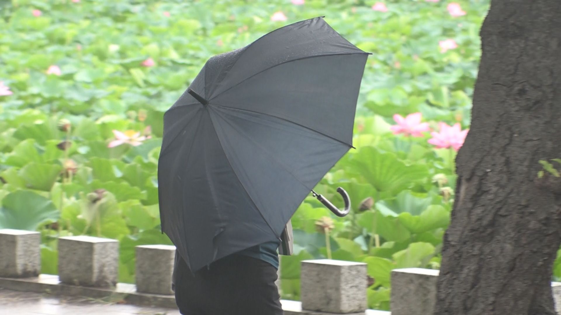 高田と大潟 40日ぶりに1ミリ以上の雨  7日にかけて大雨災害に注意　