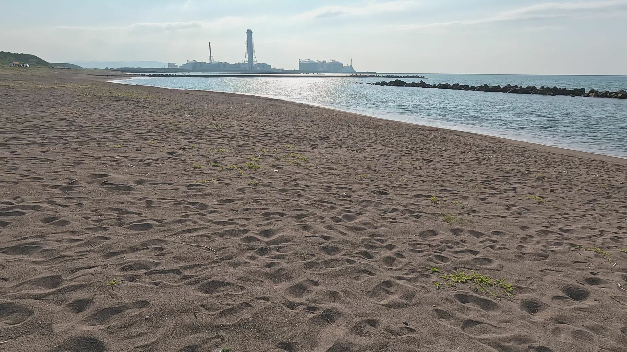 【動画】　夏の果 上越市西ケ窪浜海岸