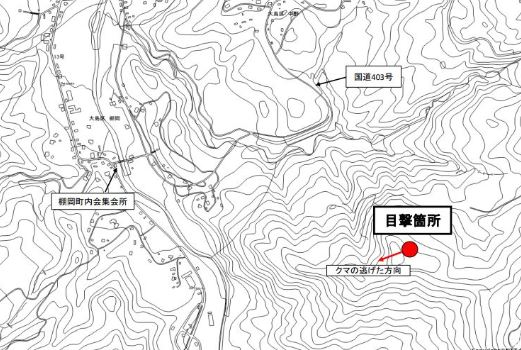 大島区の山林 20代男性2人がクマに襲われ手足にけが