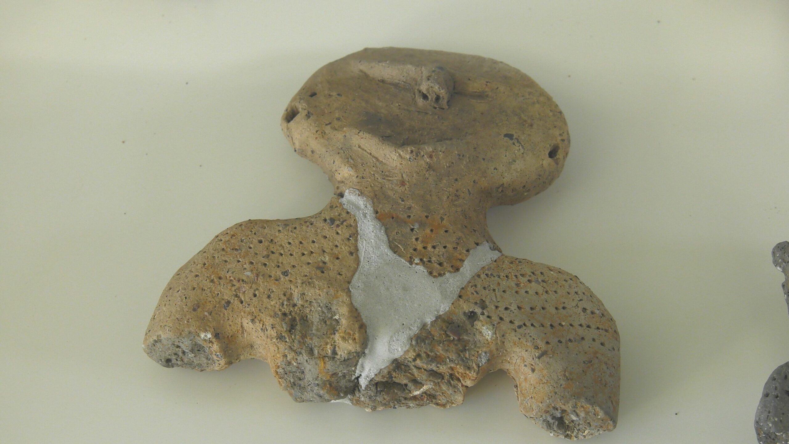 【動画】時の彼方から 片貝縄文資料館