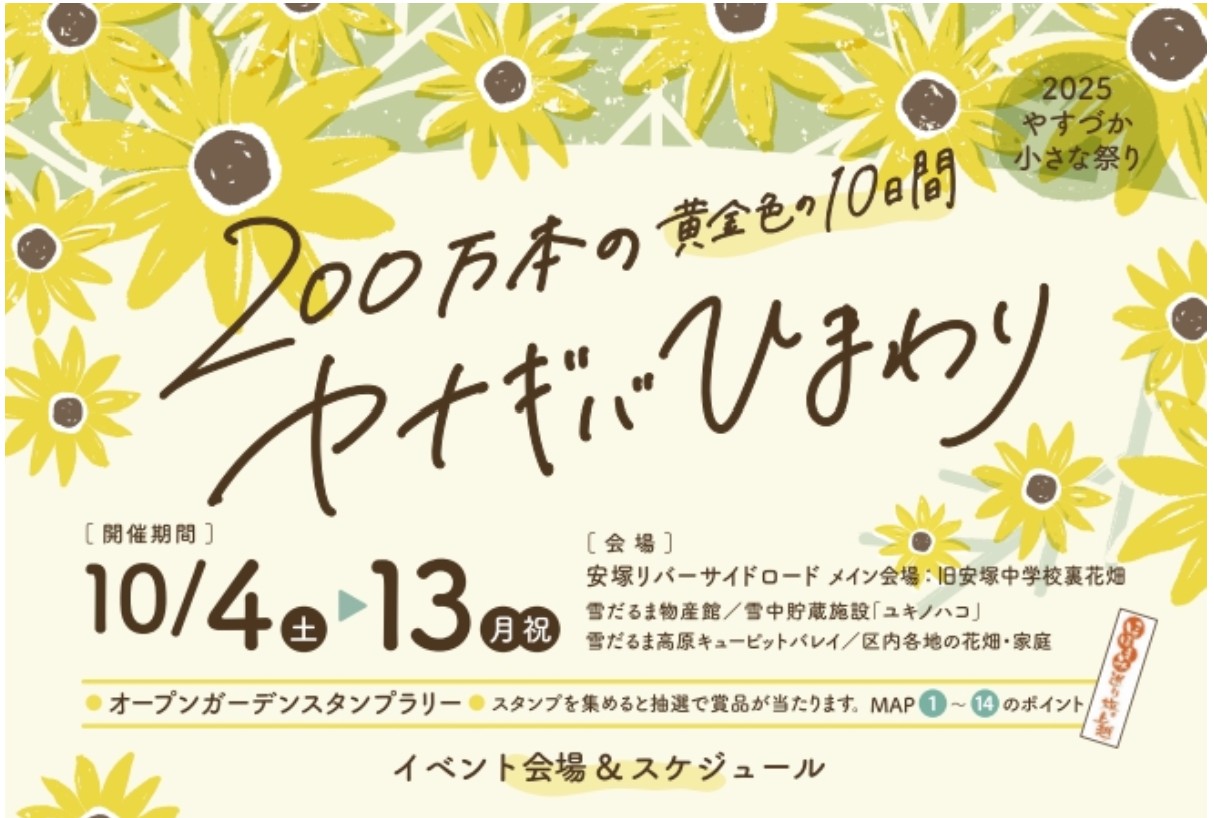 安塚区 ヤナギバヒマワリを楽しむ黄金色の10日間！4日(土)～13日(月･祝)