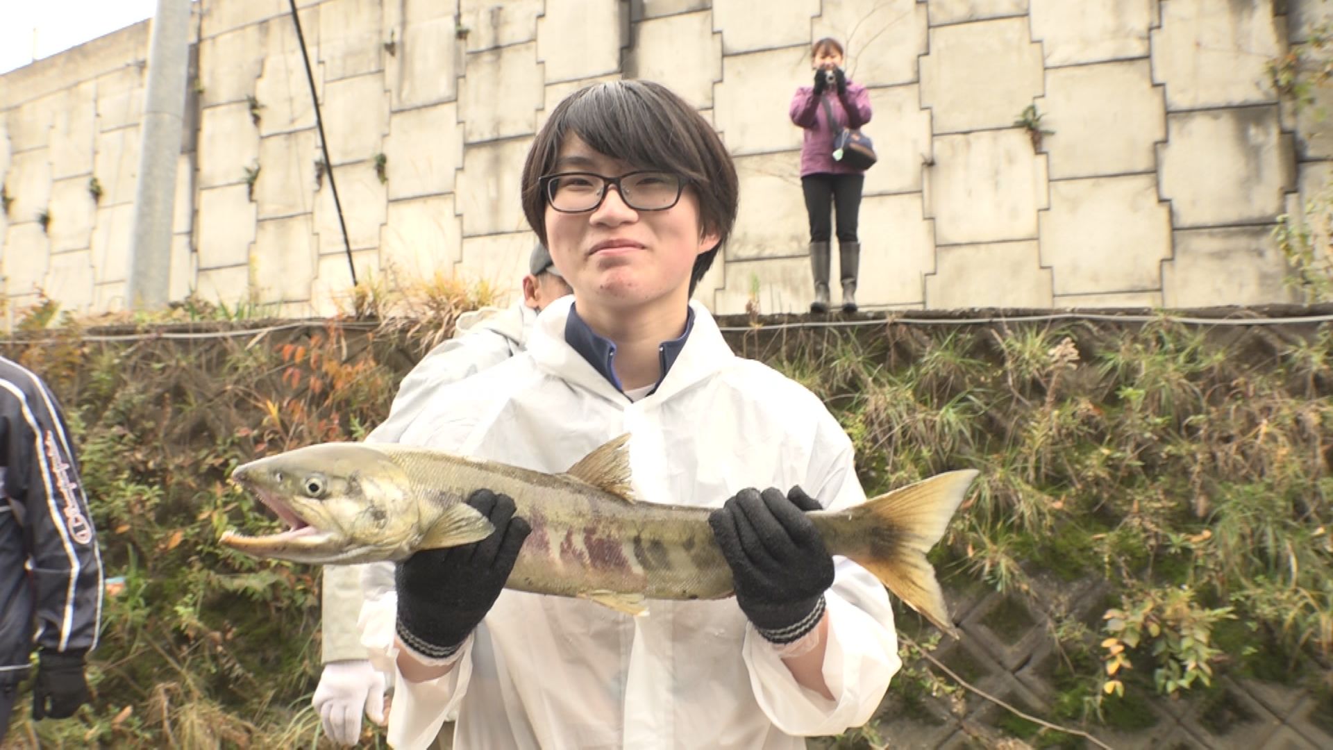 初冬の風物詩！潮陵中生徒が桑取川でサケ投網漁体験