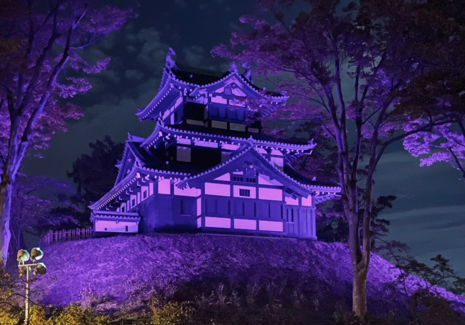 「女性に対する暴力をなくす運動」高田城三重櫓をパープルにライトアップ