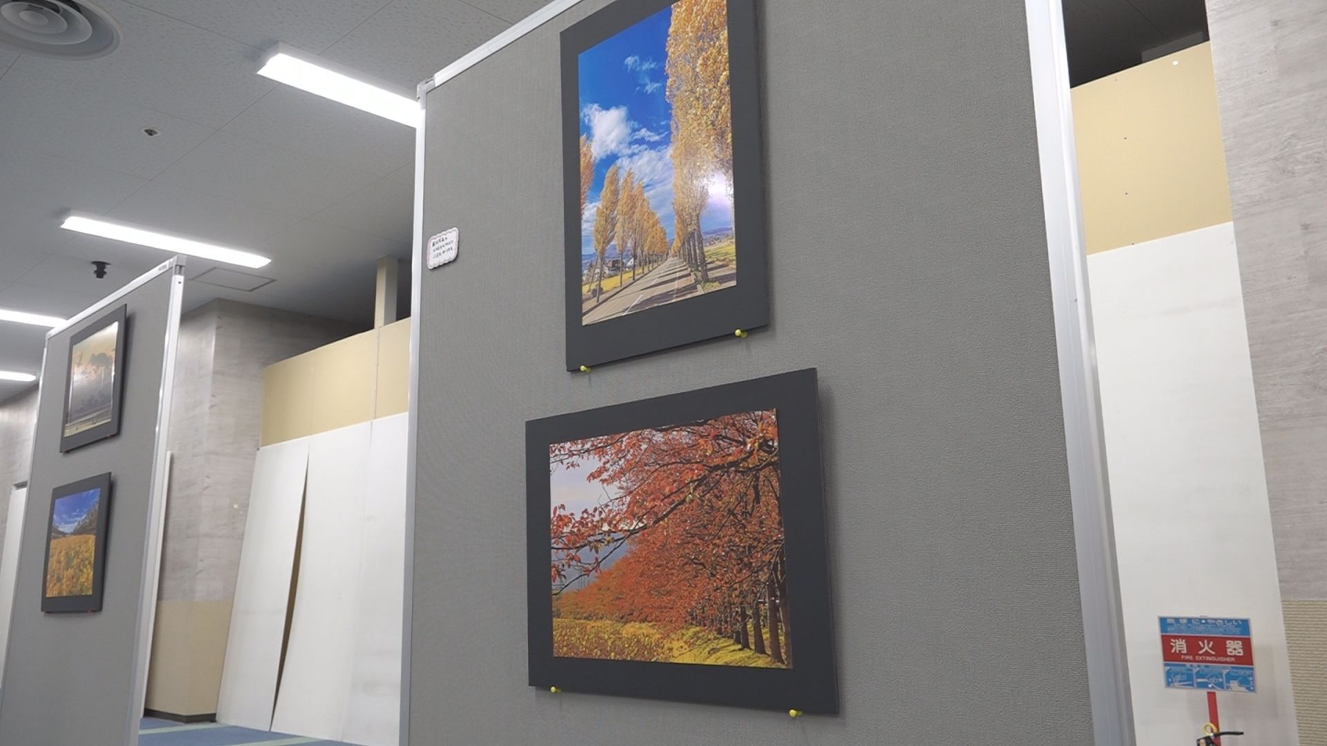 「上越の秋 写心展」16日(日)まで上越市市民プラザで開催中