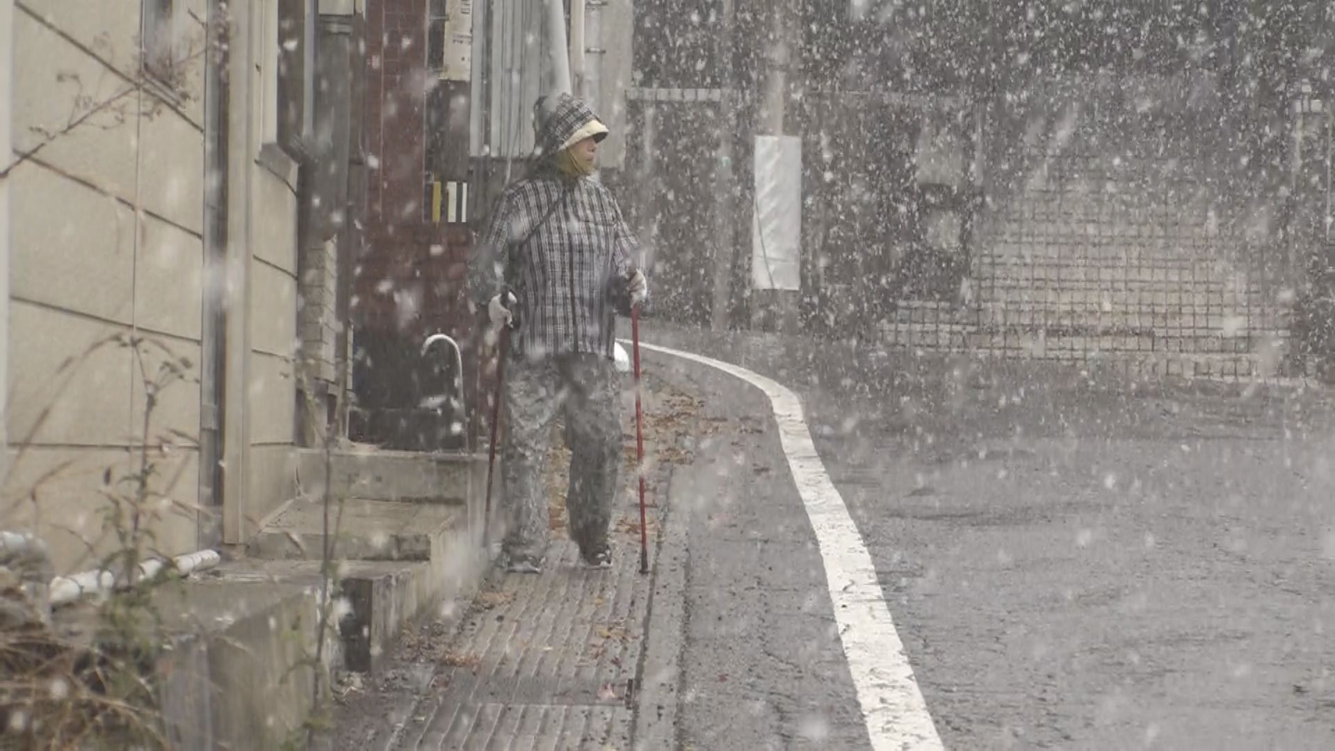 今シーズン一番の寒さ 赤倉やいもり池周辺で初雪
