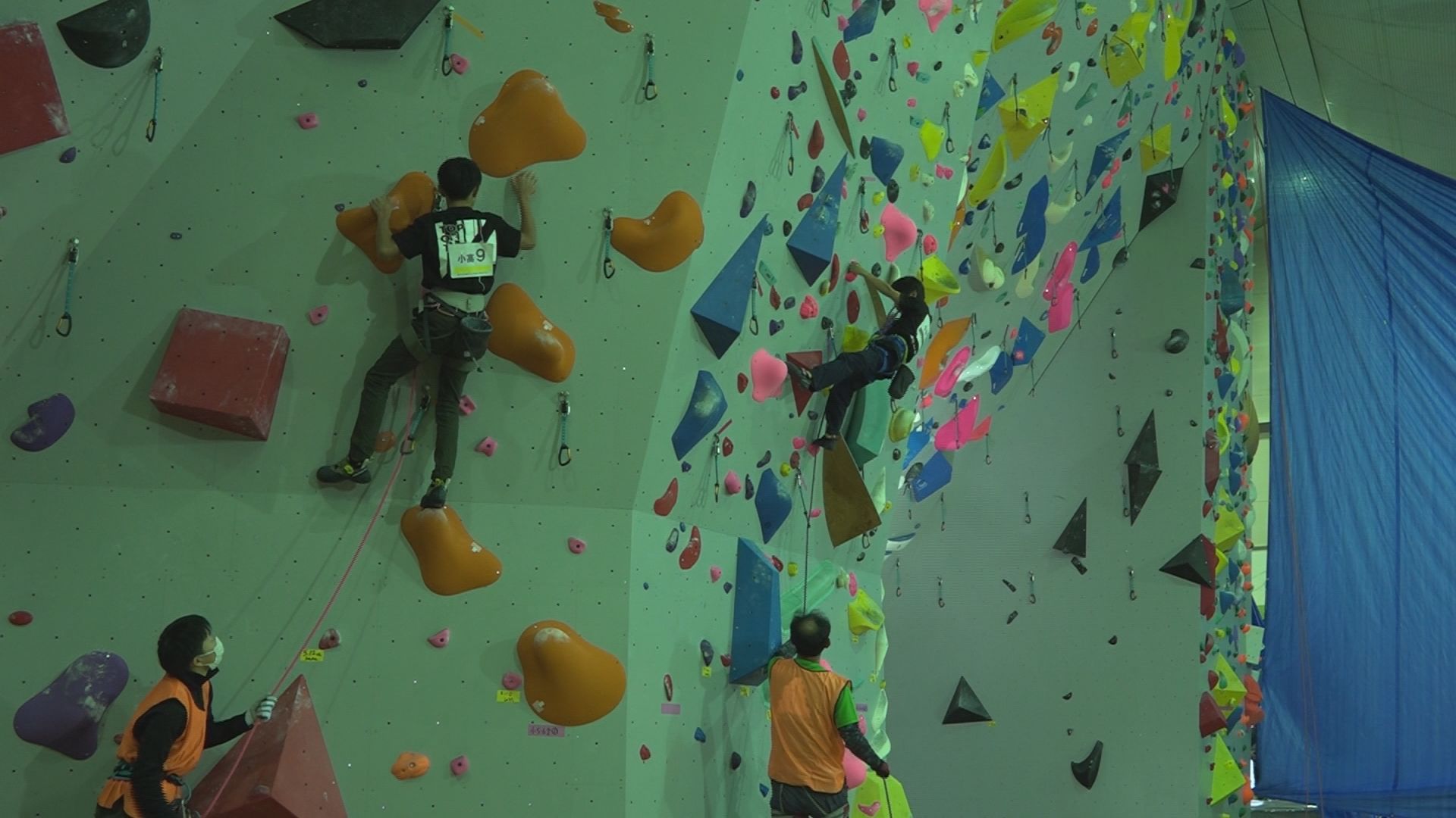 上越勢が大活躍！新潟県クライミング選手権小中学生大会2025