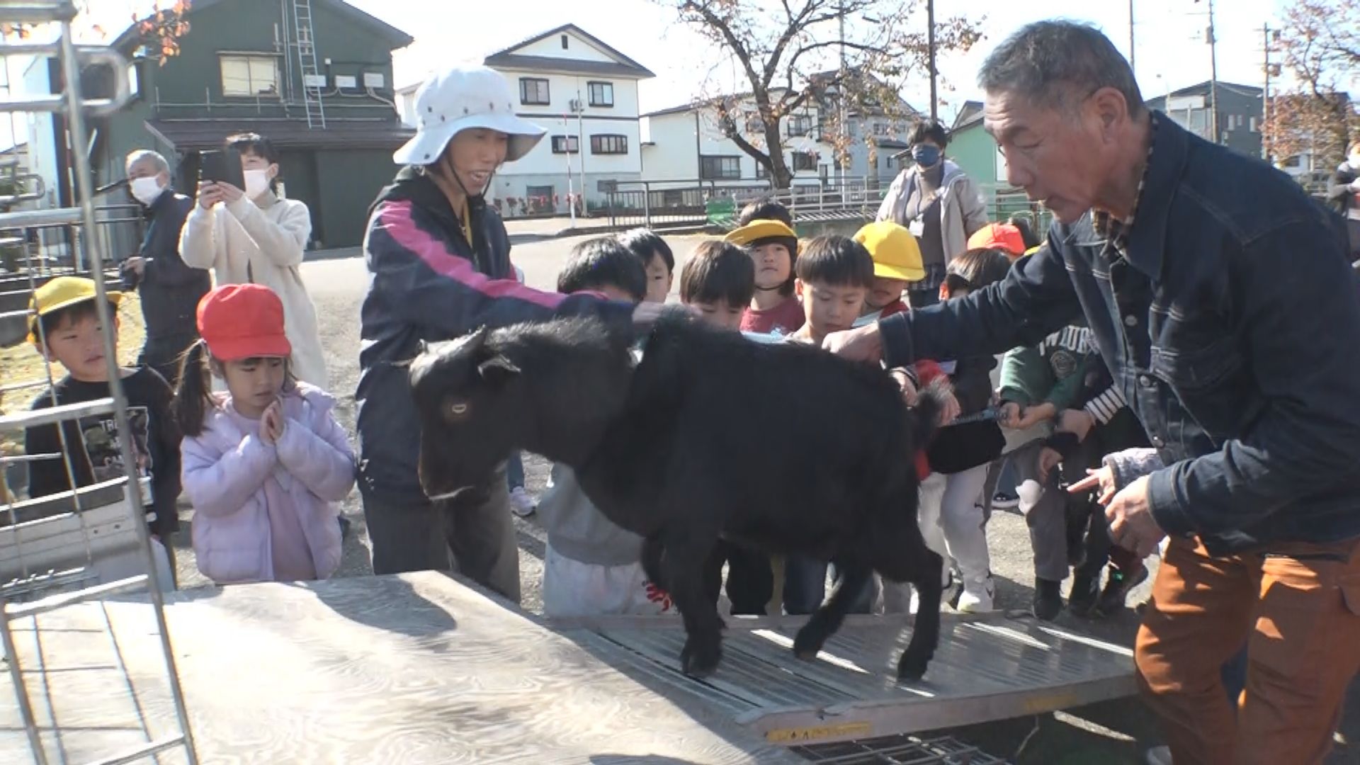 元気でね！新井中央小1年生 ヤギとお別れ