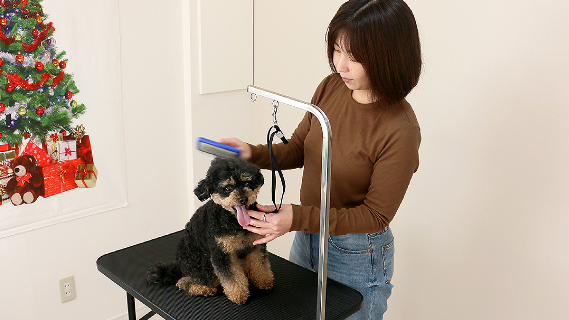 「DOG JOURNEY」上越市中央1にオープン！デリケートなワンちゃんも安心のサロン＆ホテル