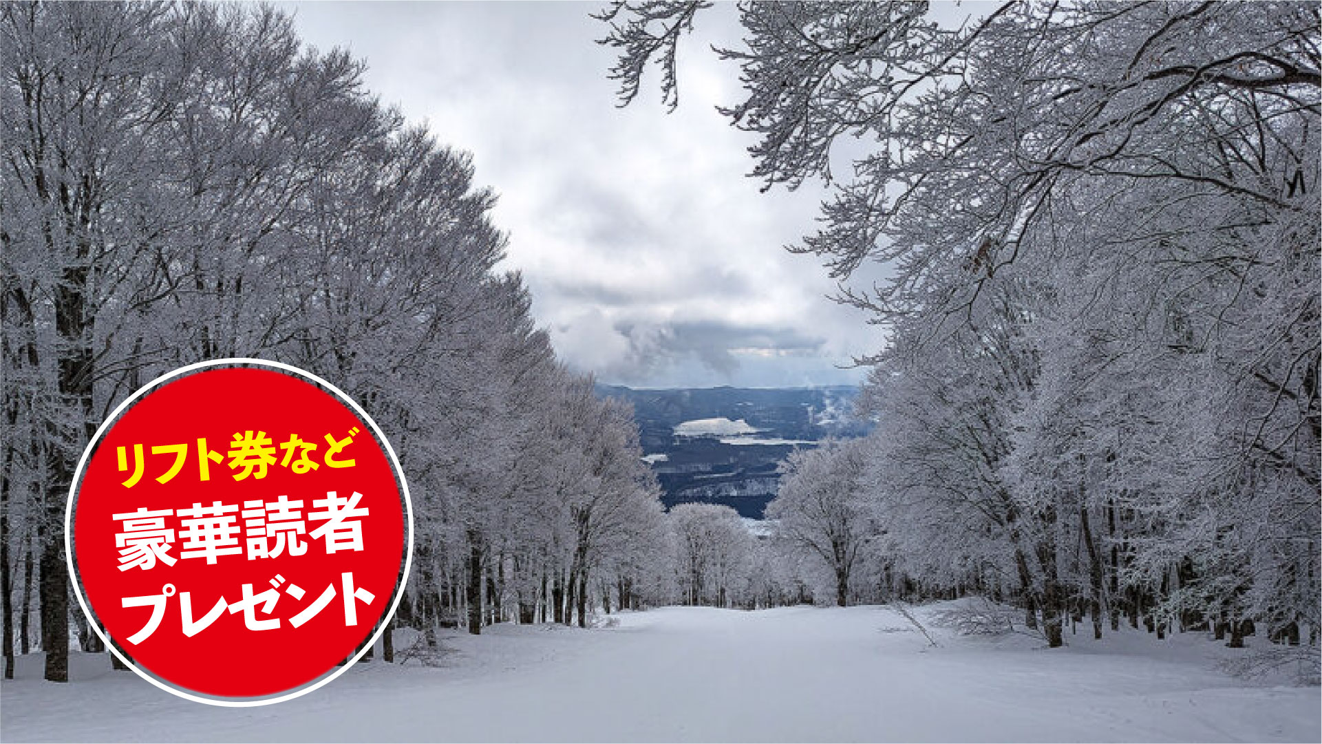 ★リフト券プレゼント★ スキー場紹介2025-2026  池の平温泉アルペンブリックスキー場（新潟県妙高市）