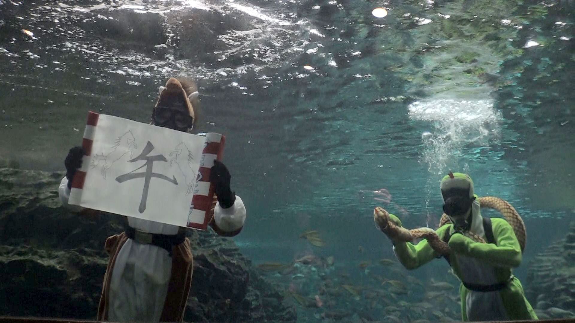 うみがたりに「うまダイバー」登場！一足早くバトンタッチ