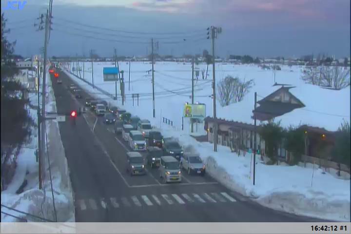 上越は11日(土)夜のはじめ頃から大雪に  山沿い70センチ 平地30センチ