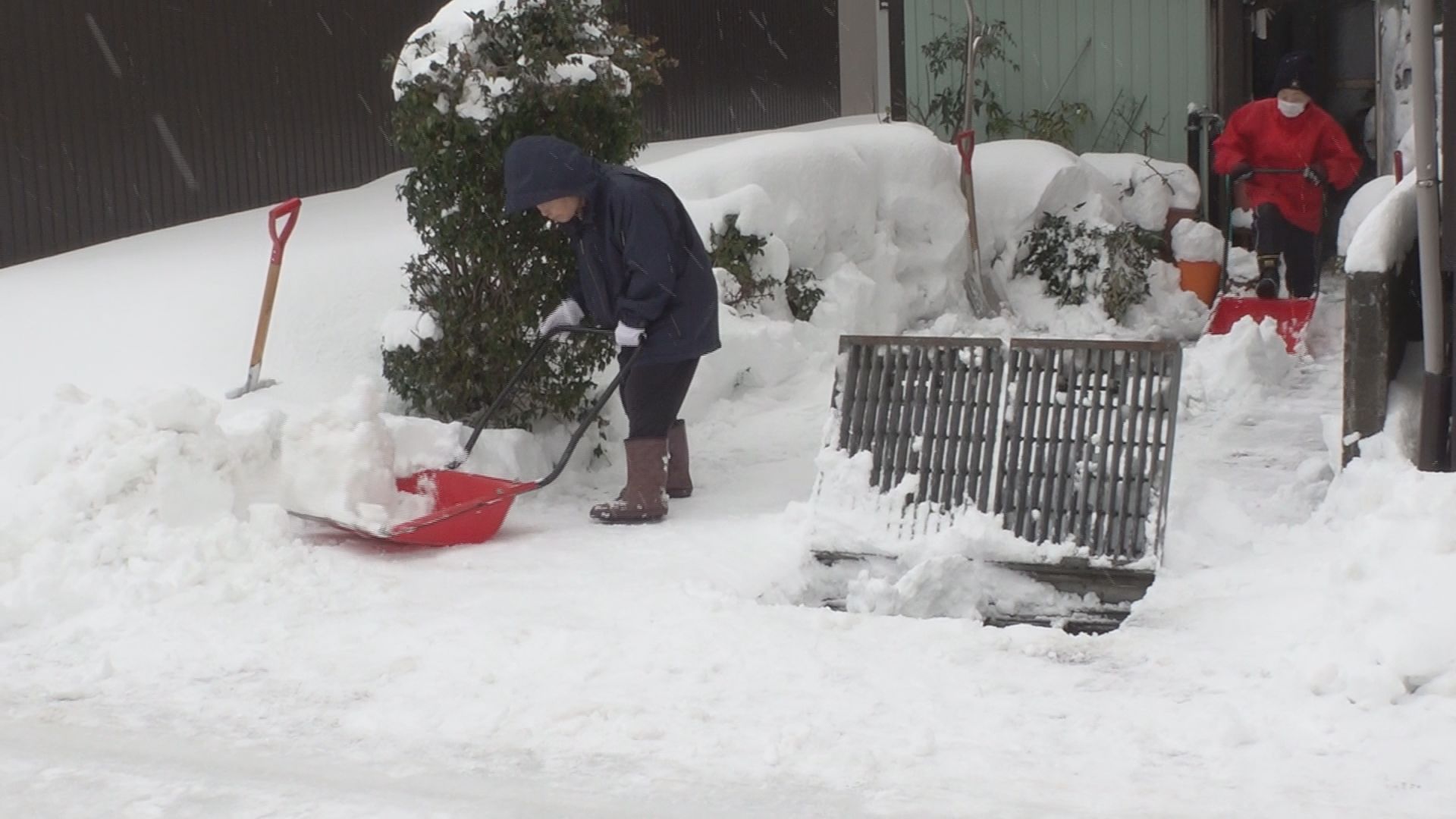 積雪増加 高田は平年比1.6倍に