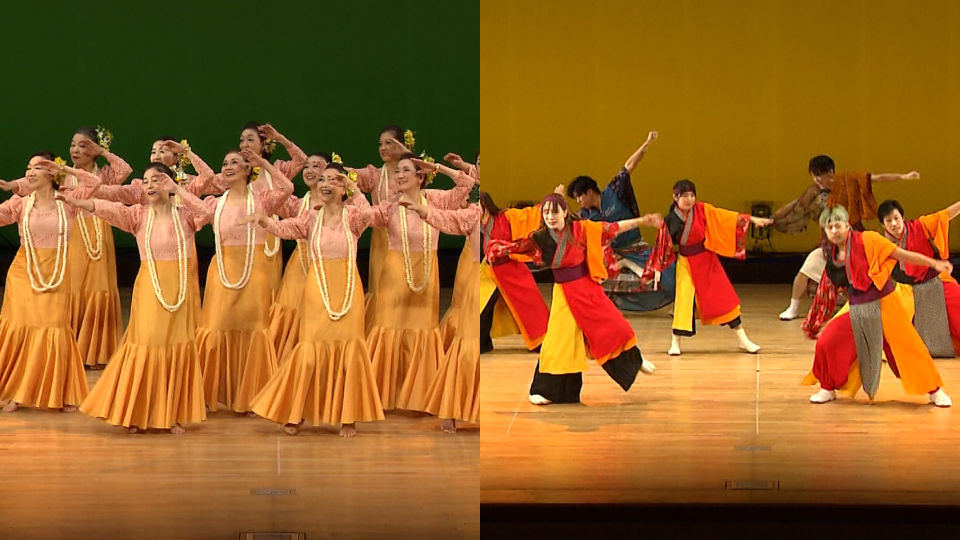 上越市民芸能祭「ハワイアンフラフェスティバル・越後よさこいフェスティバル」18日(日)からJCVスペシャルで放送