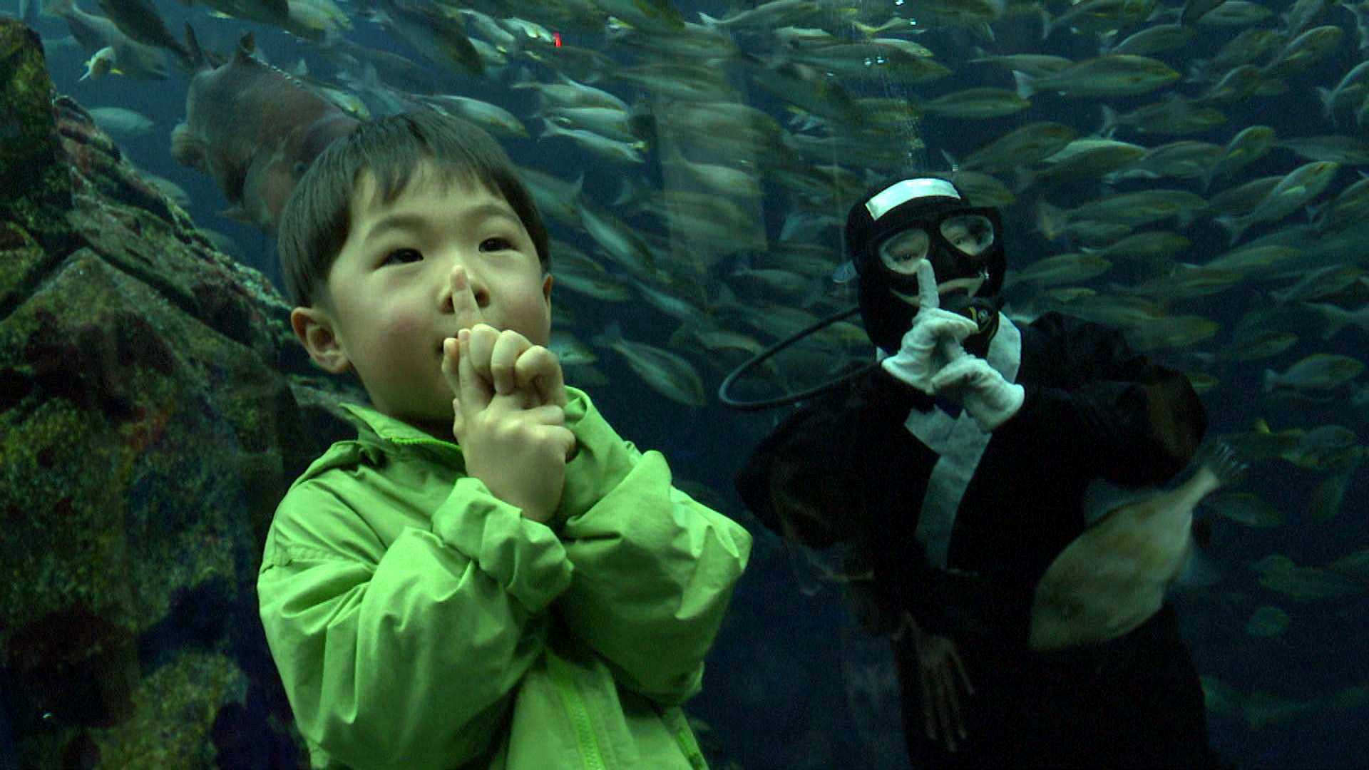 まるで忍法のよう！ うみがたり「謙信忍者水族館」開催中