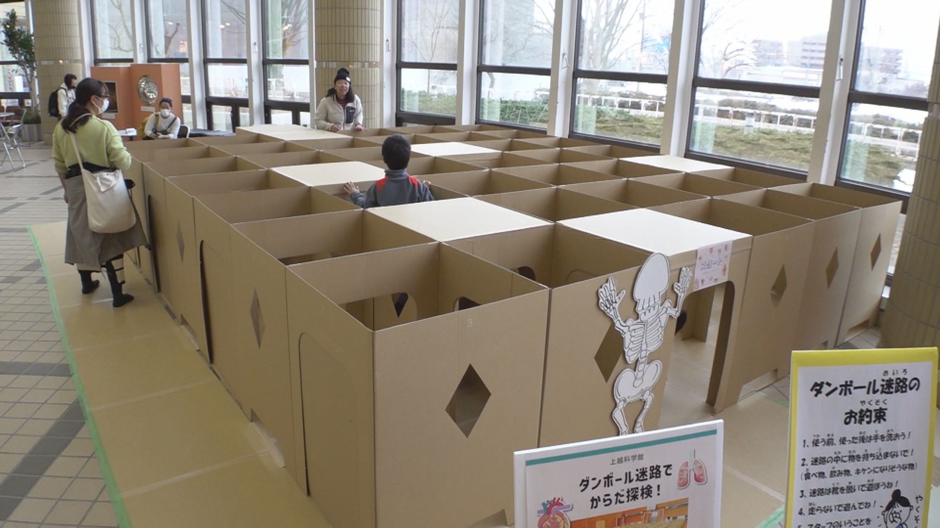 体の仕組みが学べる「段ボール迷路」上越科学館に登場！