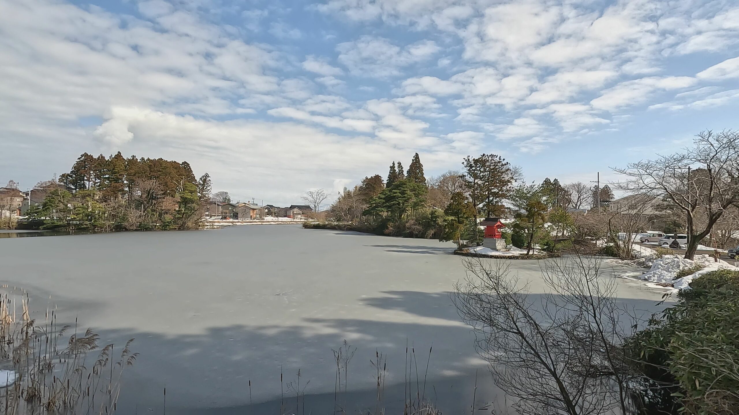 【動画】春告音 国府蓮池