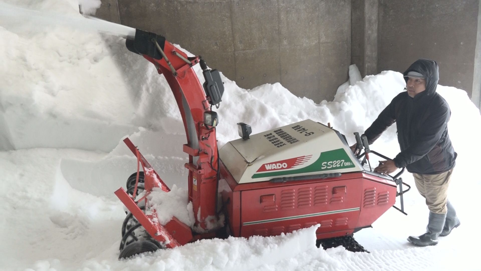 日本酒や果物を低温保存 豪雪地安塚の雪室に雪入れ作業