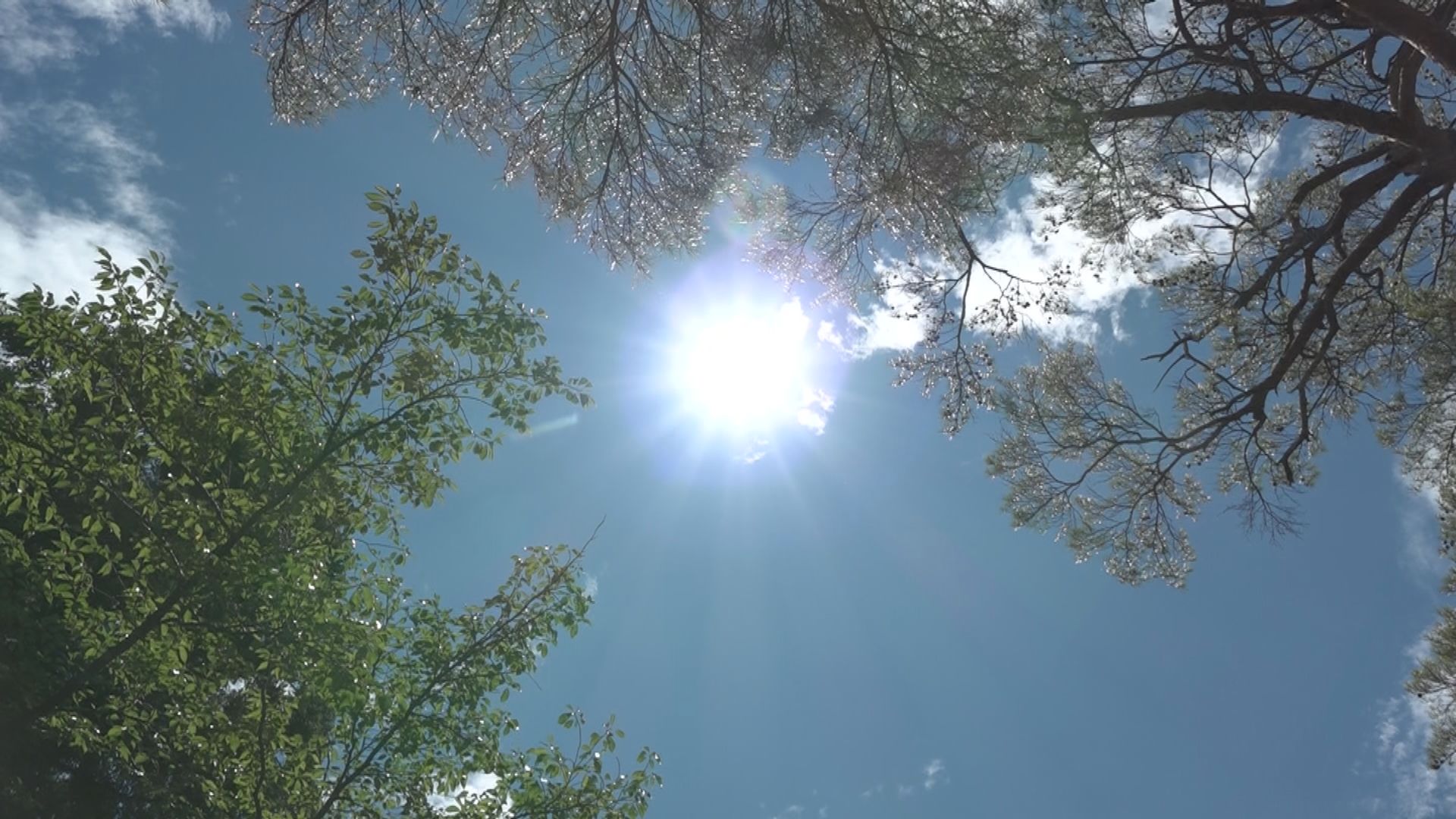 今夏も暑くなる予想  降水量は梅雨時期も含めて平年並みの見込み