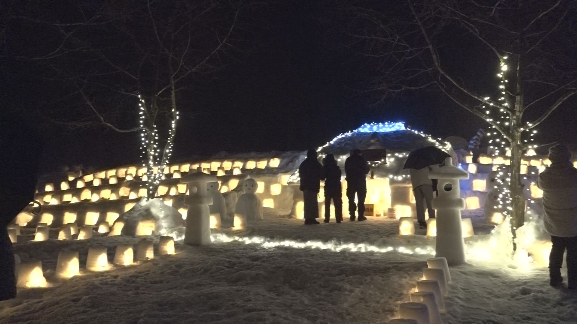 灯の回廊 大安浦の里山を照らす風物詩