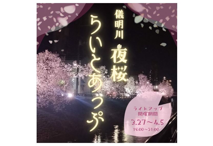 儀明川 夜桜ライトアップ27日(金)から  歩行者天国イベントも