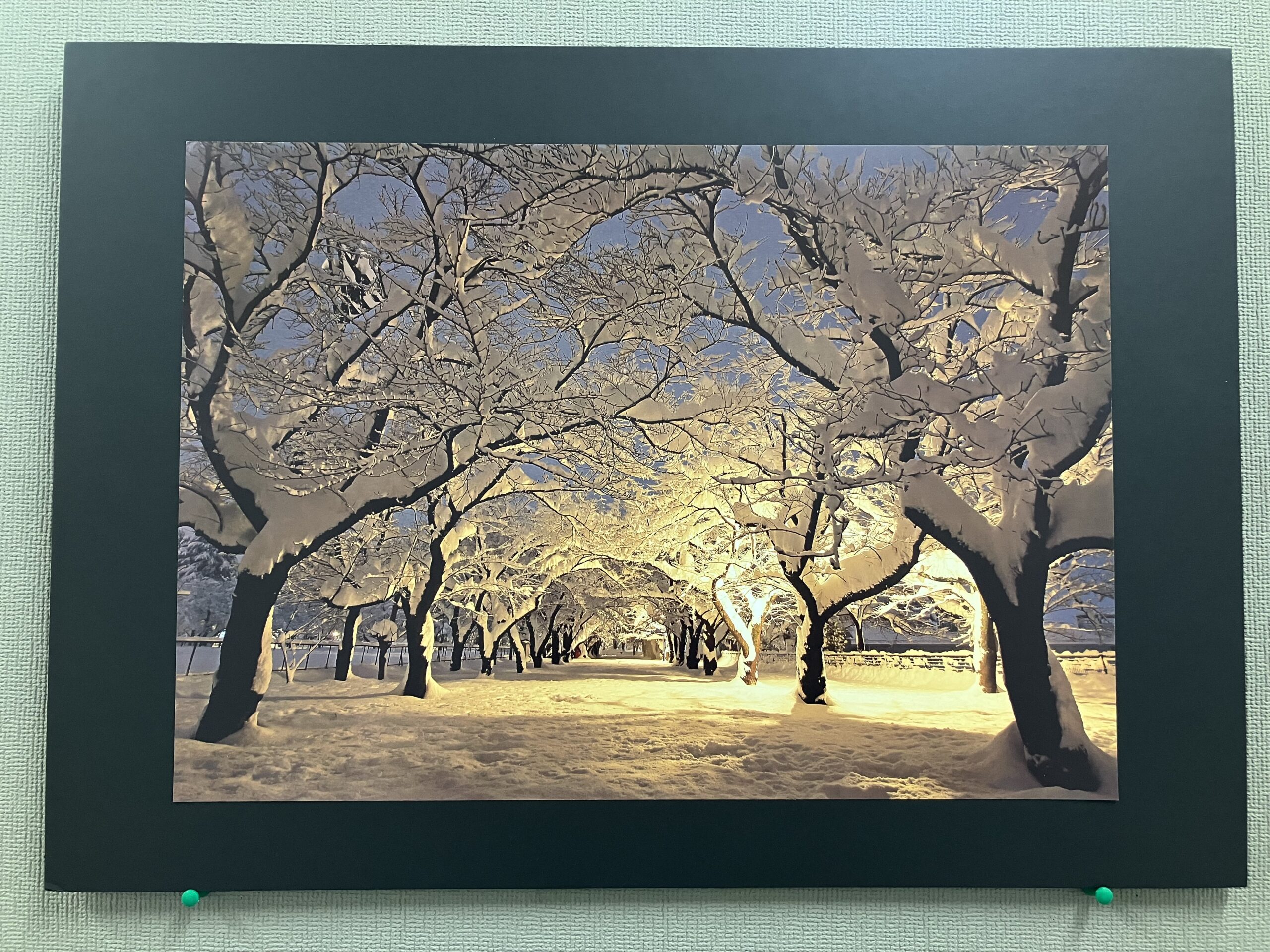 上越の冬を切り取った写真展 今月15日まで上越市市民プラザで開催中