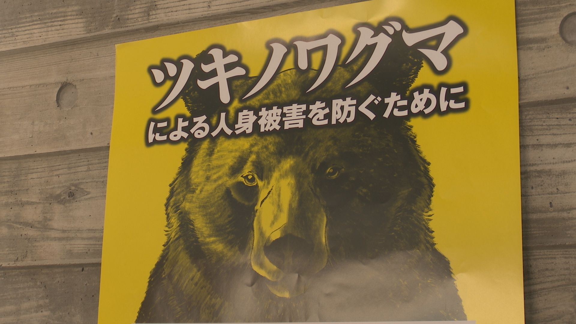 妙高市 有害鳥獣の捕獲･駆除専門の職員「ガバメントハンター」募集