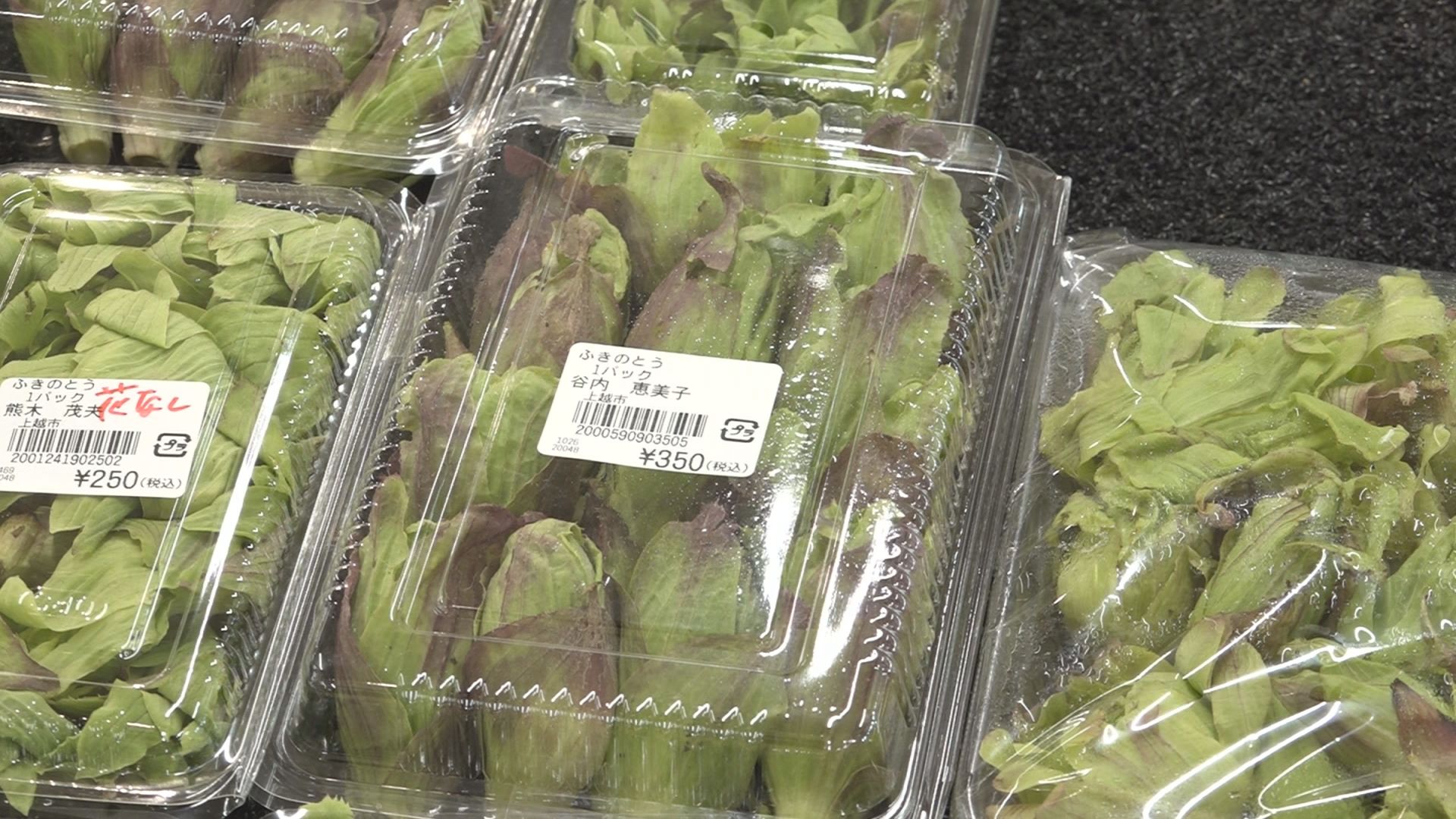 食べて楽しむ春到来！山菜販売はじまる