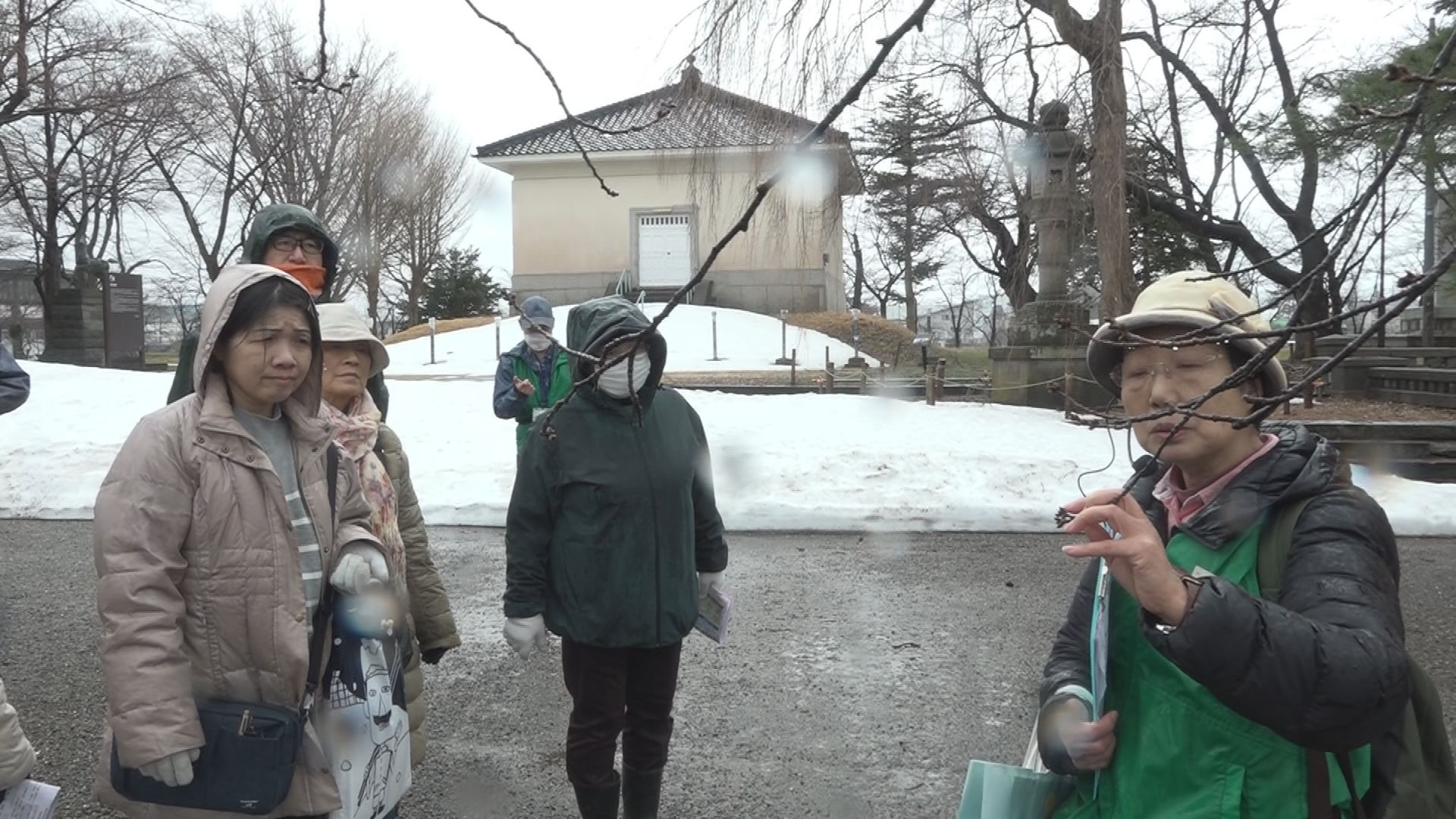 開花が待ち遠しい！高田城址公園で春の桜ウォッチング