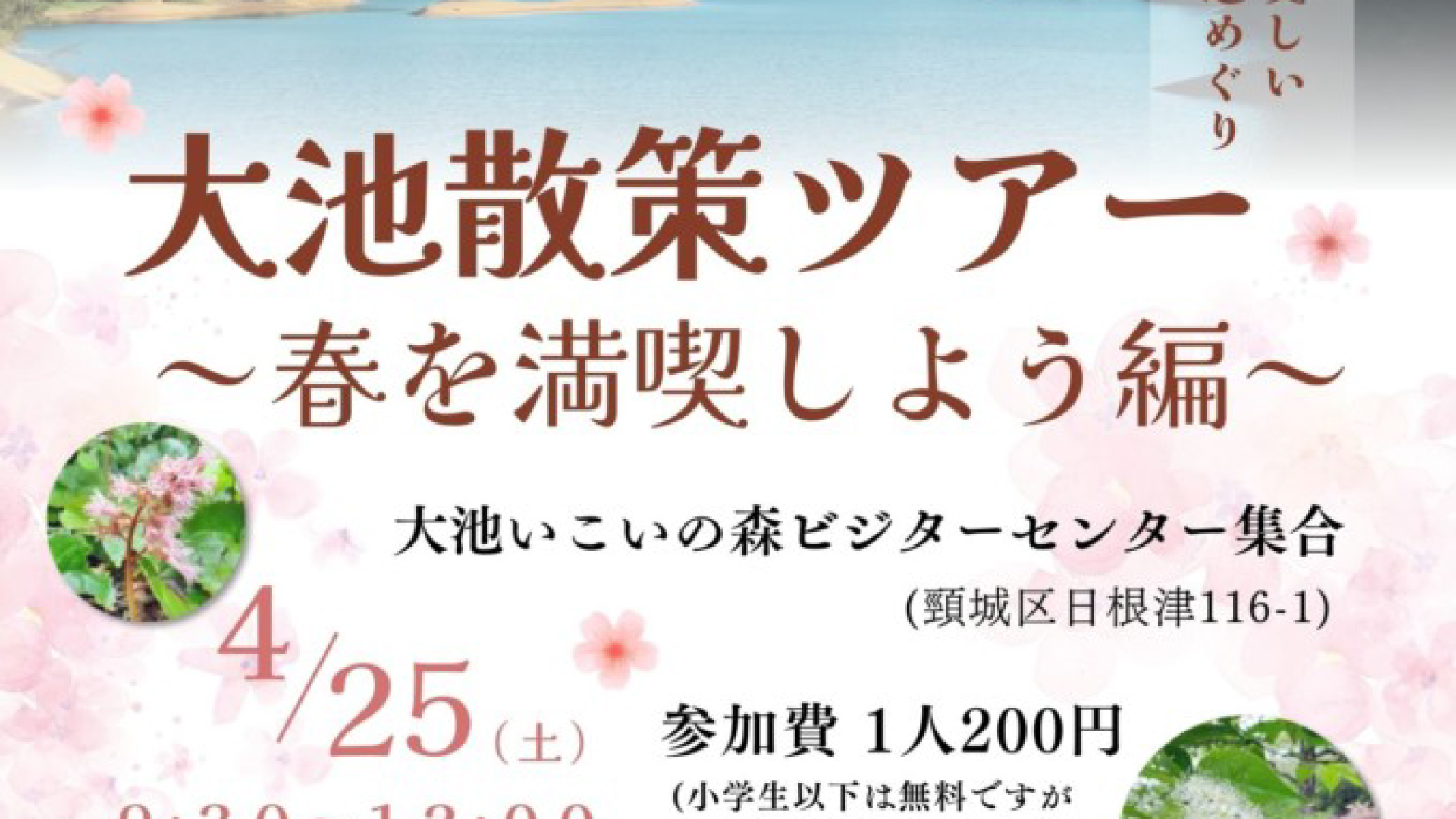 参加者募集！春の植物や景色を楽しみながら大池散策ツアー 25日(土)開催