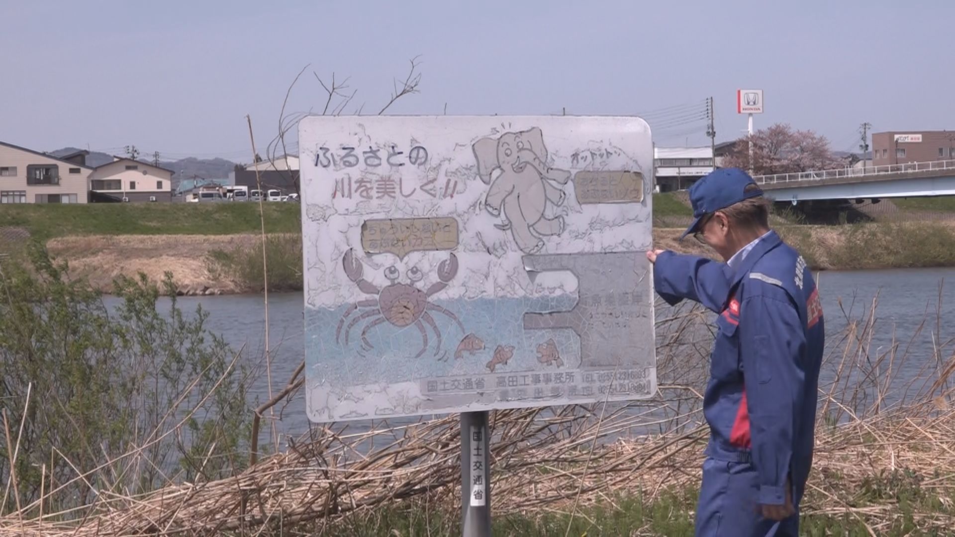 行楽シーズンを前に 関川と保倉川河川敷で安全点検