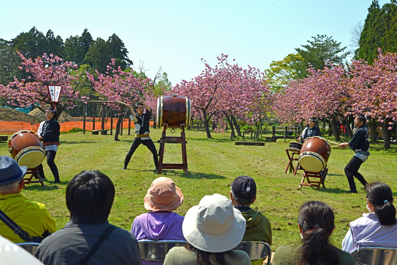 豪華賞品が当たるビンゴ大会も「蓮池公園 八重桜まつり」25日(土)開催