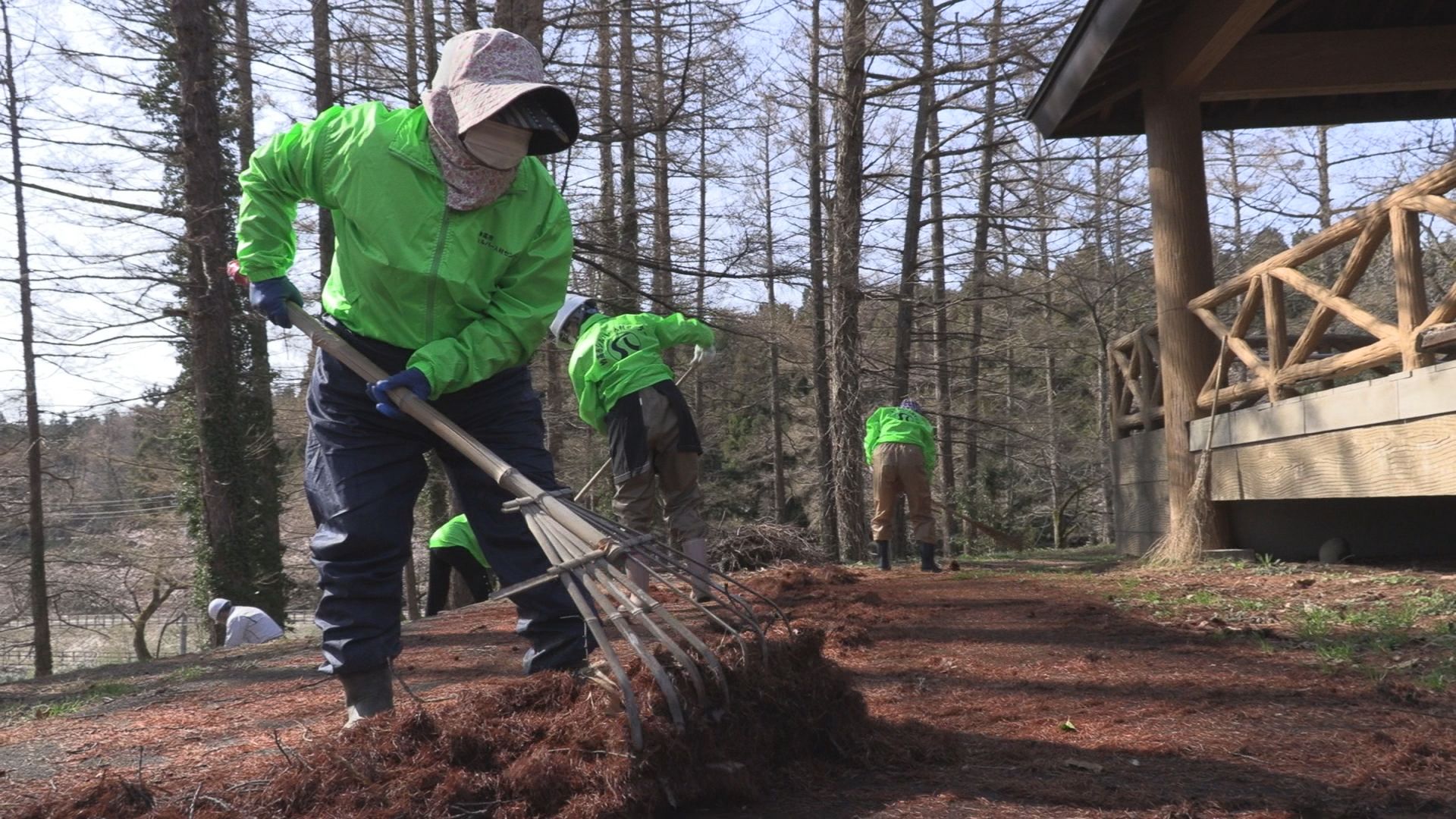 気持ちよくお花見できます！経塚山公園でシルバー人材センター会員が清掃ボランティア