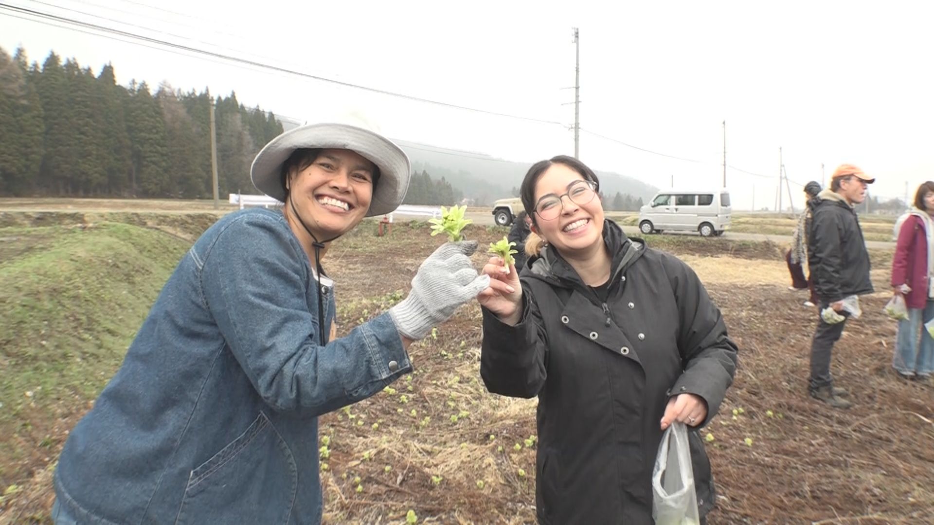 外国人移住者×地元住民 山菜取りやランチで交流
