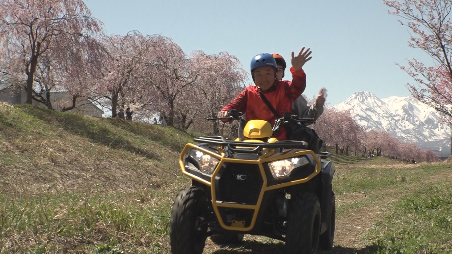 はね馬×サクラ バギーに乗って妙高の絶景を楽しむ！