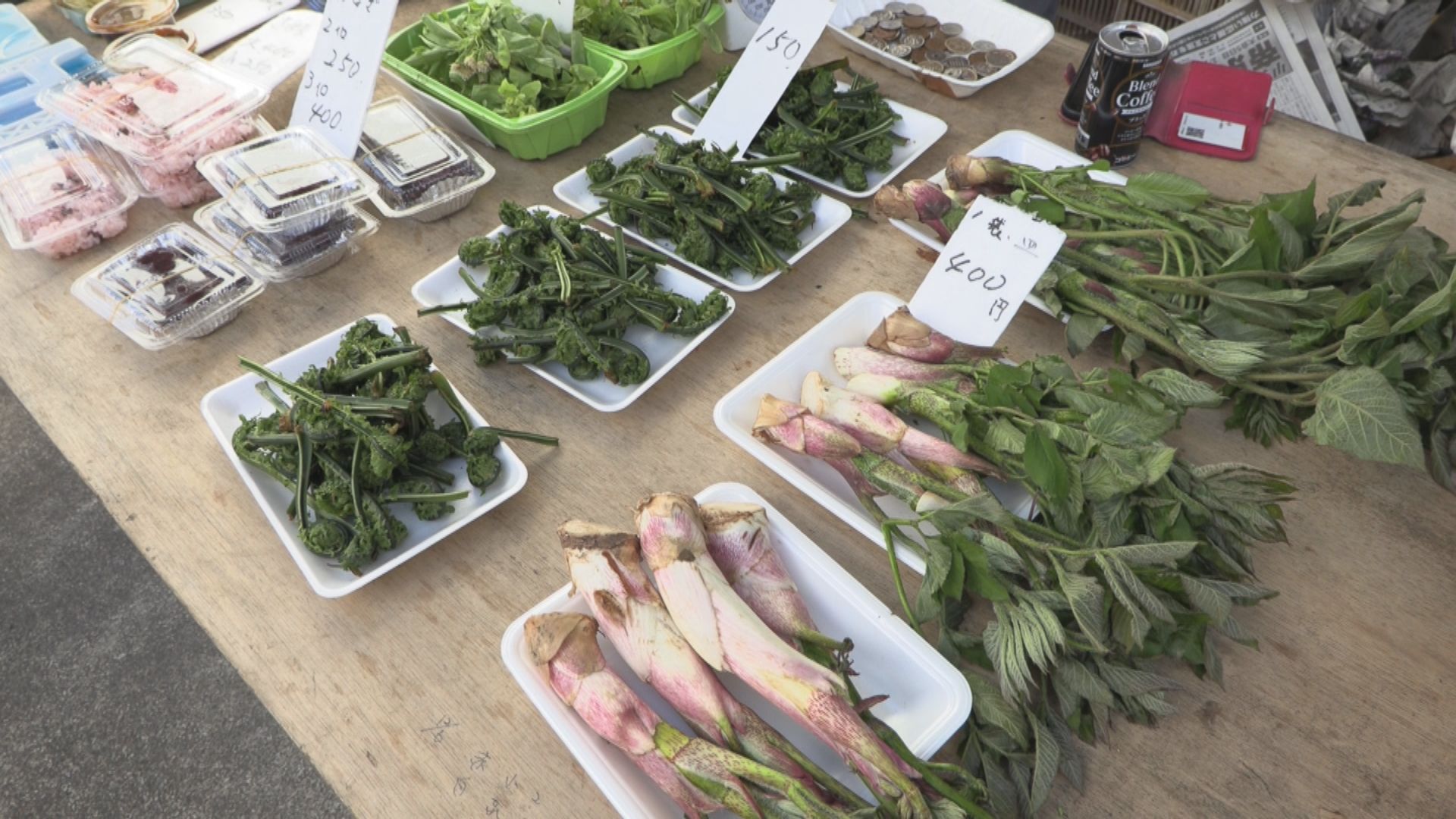 朝市に春の味覚 山菜ずらり