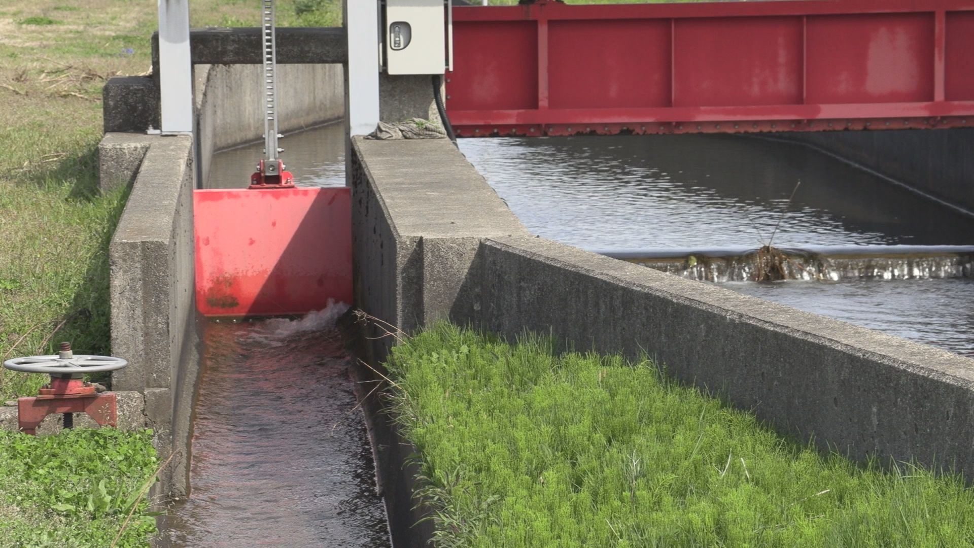 笹ヶ峰ダム周辺の雪は例年の6分の1  水不足に備えて「番水」準備