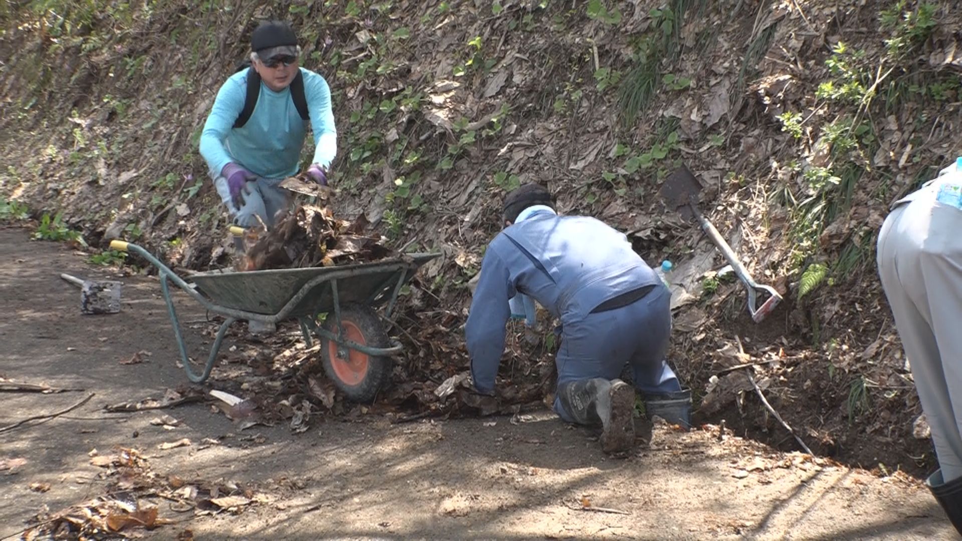 妙高市 高床山森林公園が今月末にオープン 姫川原地区壮年会が掃除活動
